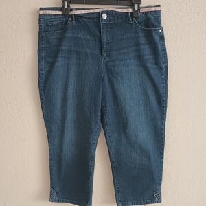 Gloria Vanderbilt Indigo Denim Jeans Size 14